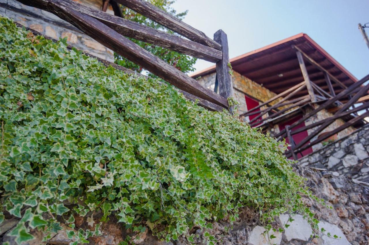 Stonehouse 2 Bedroom Chalet On Olympus Amazing View Pétra Exterior foto